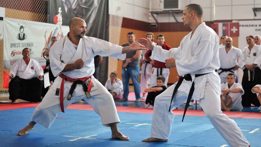 Zaw Trading Karate 2