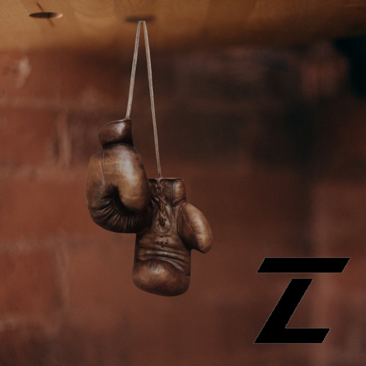Vintage Brown ZAW TRADING leather boxing gloves